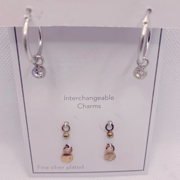 Gold and Silver Interchangeable Earrings Set with Charms - Picture 3 of 8